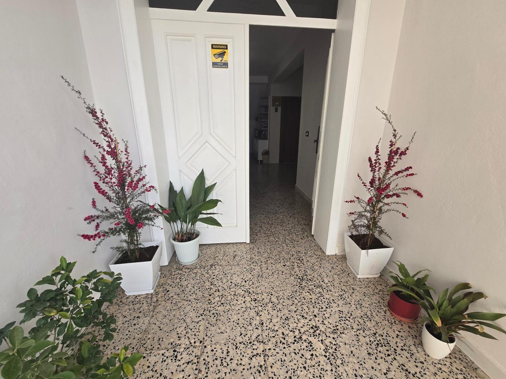 Hotel Aleks Shkodër Extérieur photo